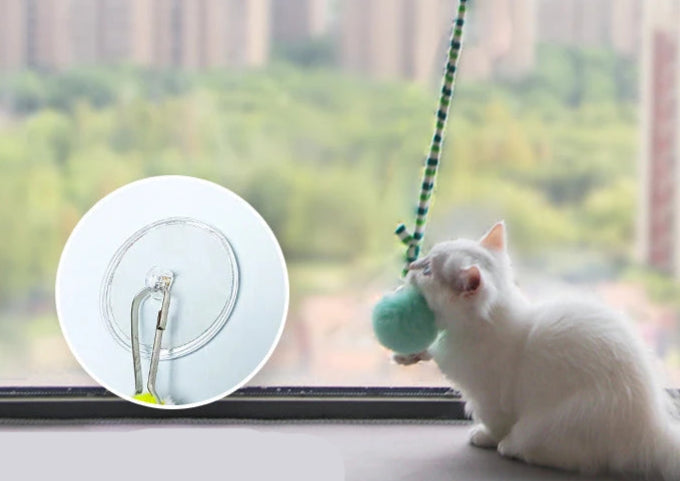 Jouets pour Chats d'appartement