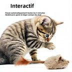 Souris pour Chat