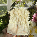 Robe Pour Chienne