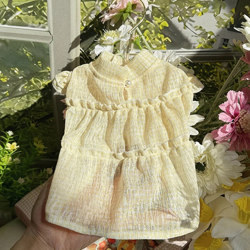 Robe Pour Chienne
