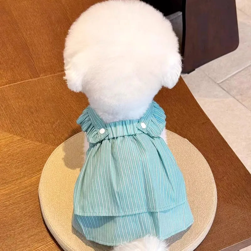 Robe Pour Chien - Au Choix