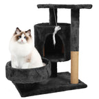 Petit Arbre a Chat