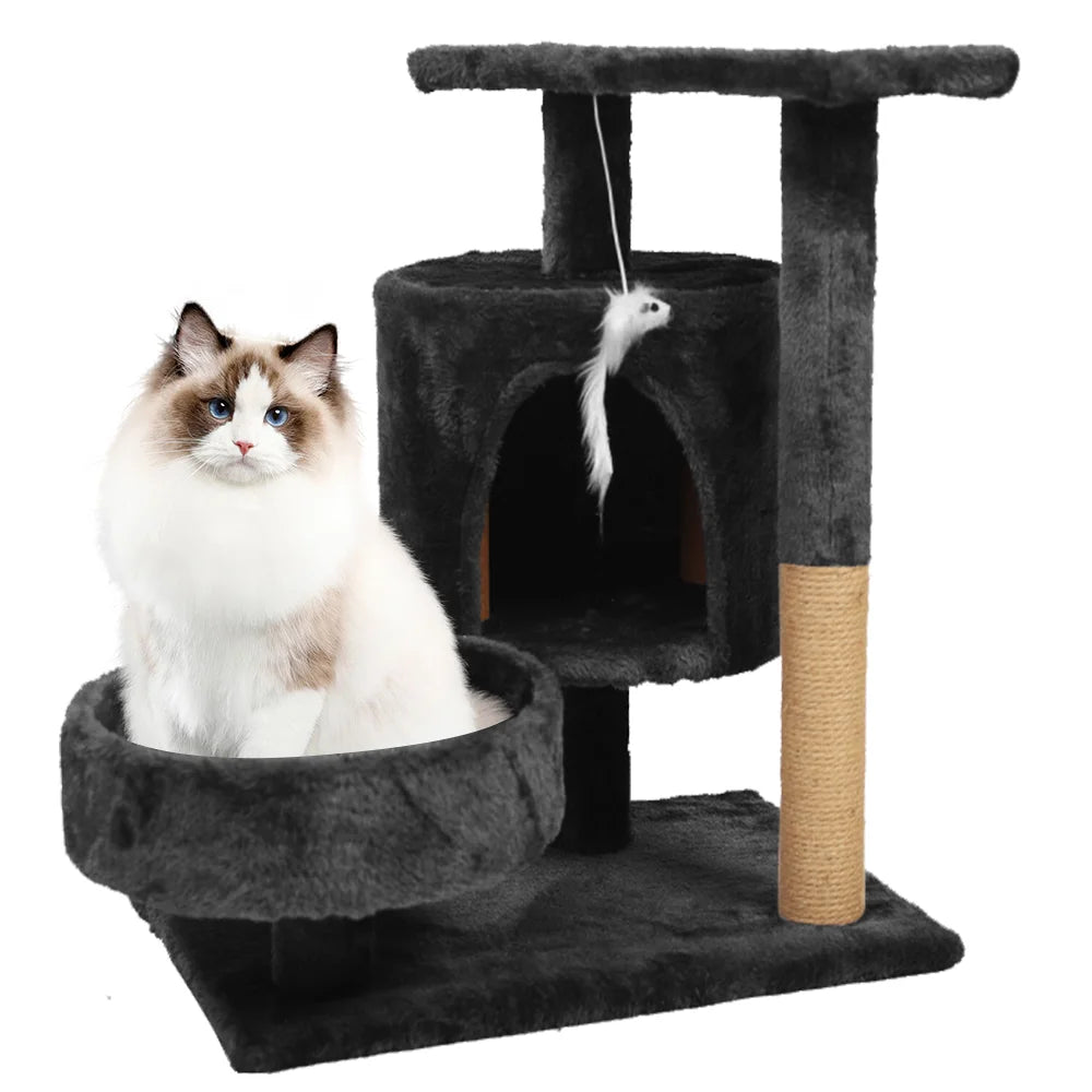 Petit Arbre a Chat