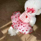 Robe Pour Chienne - Modèle au choix