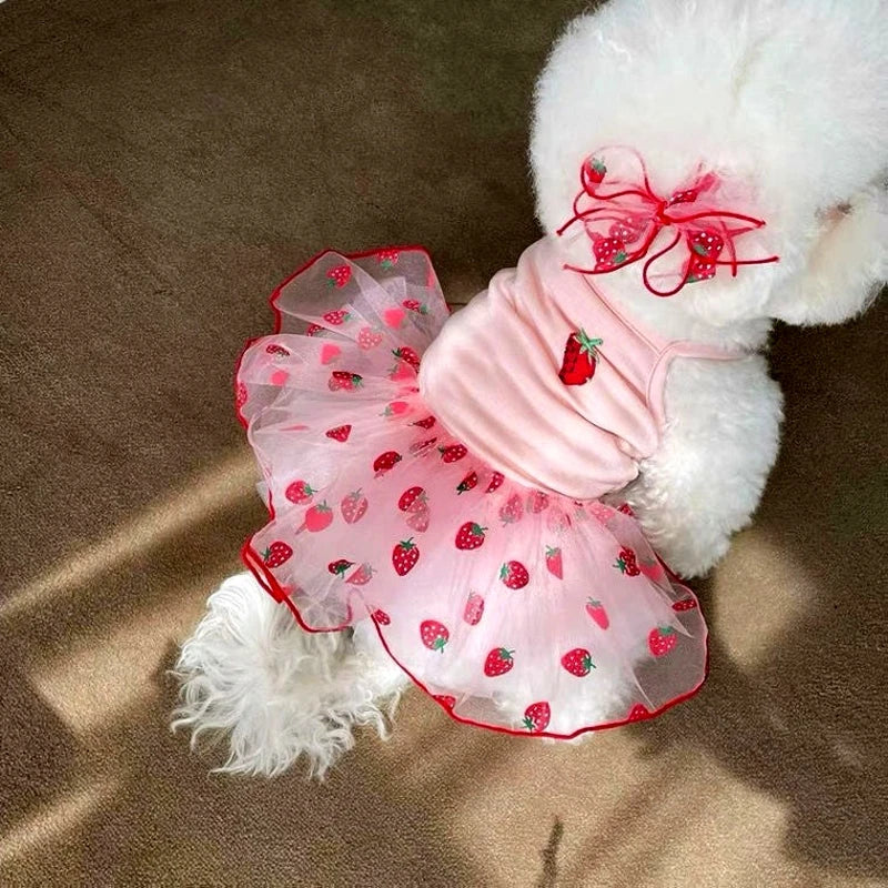 Robe Pour Chienne - Modèle au choix