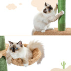Grand Arbre à Chat