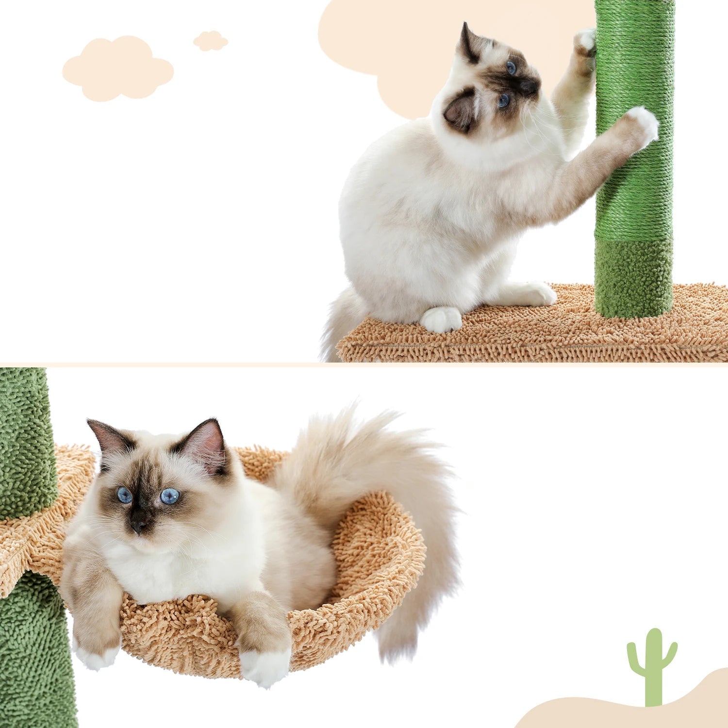 Grand Arbre à Chat