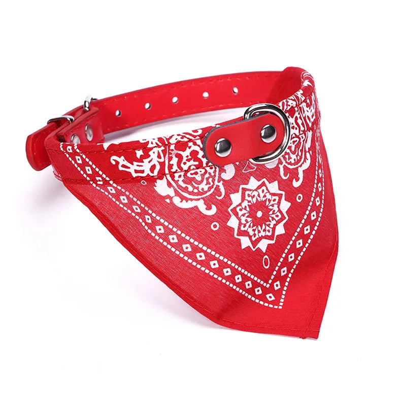Bandana pour Chien