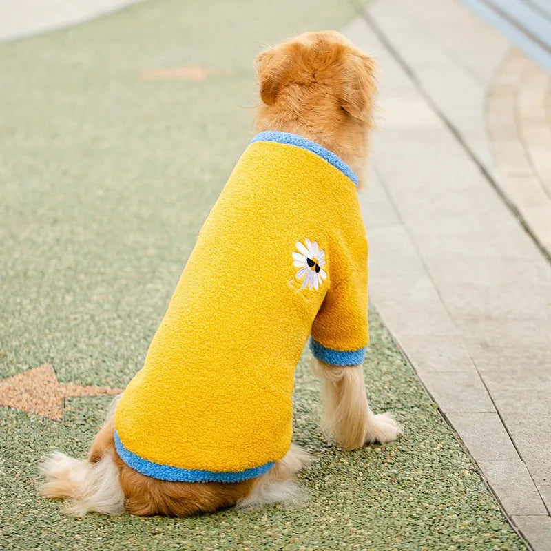Sweat Pour Chien