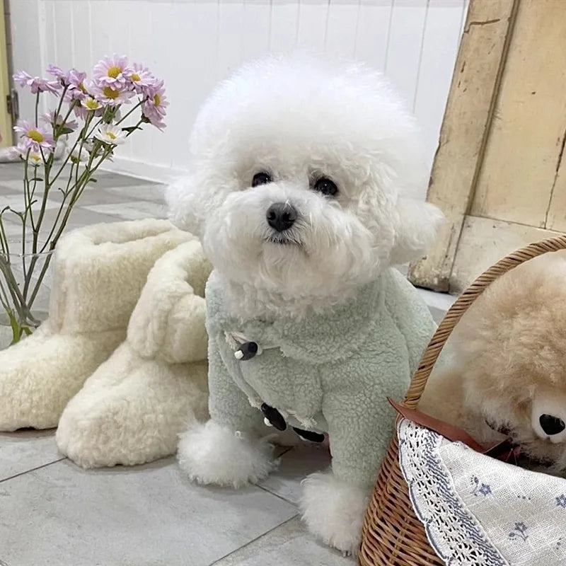Gilet Pour Chien