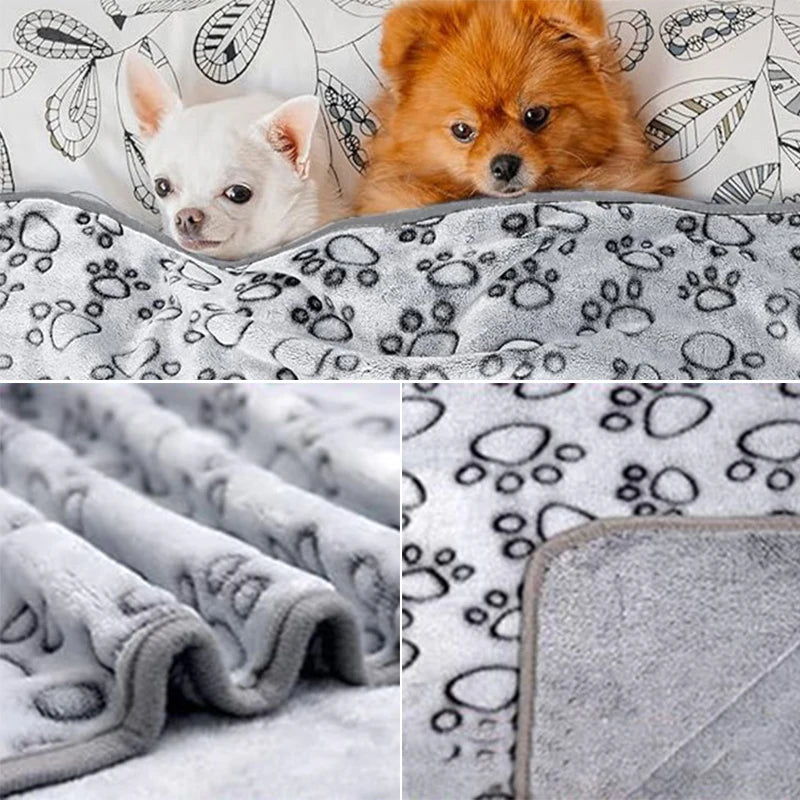 Couverture pour Chien