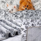 Couverture pour Chien