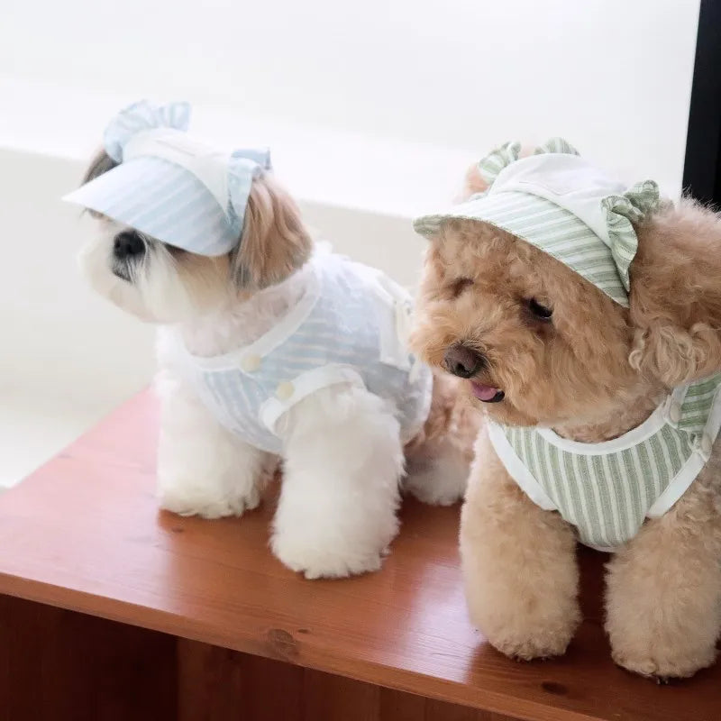 Ensemble Pour Chien