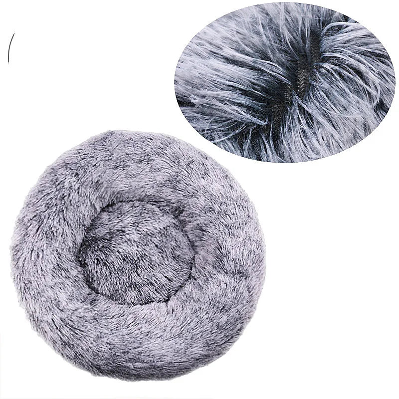 Coussin pour Chien