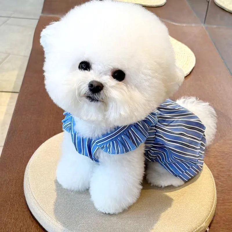 Robe Pour Chien - Au Choix
