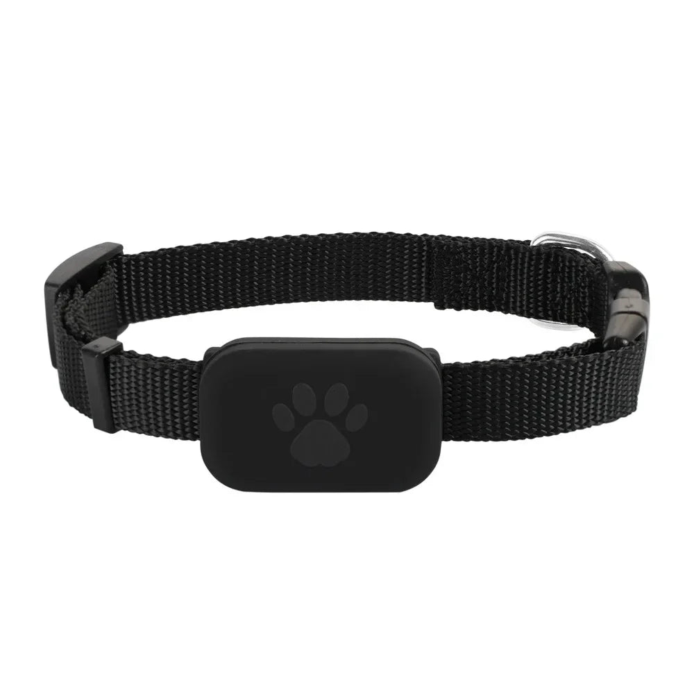 Collier GPS pour Animaux