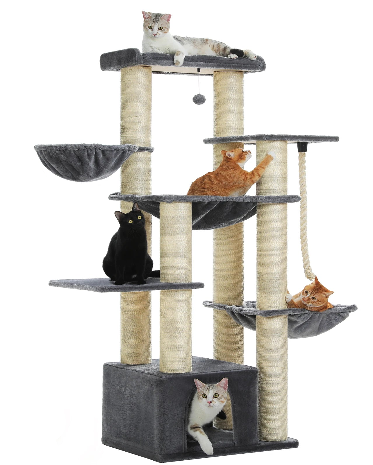 Arbre a Chats