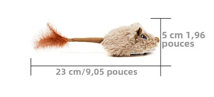 Souris pour Chat