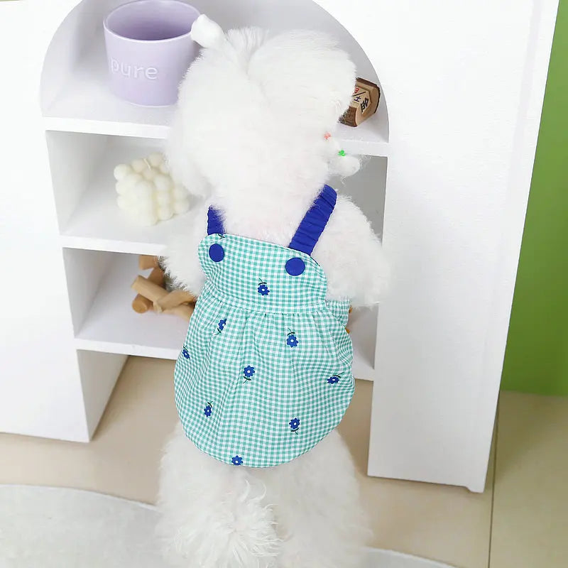 Robe Pour Chien - Au Choix