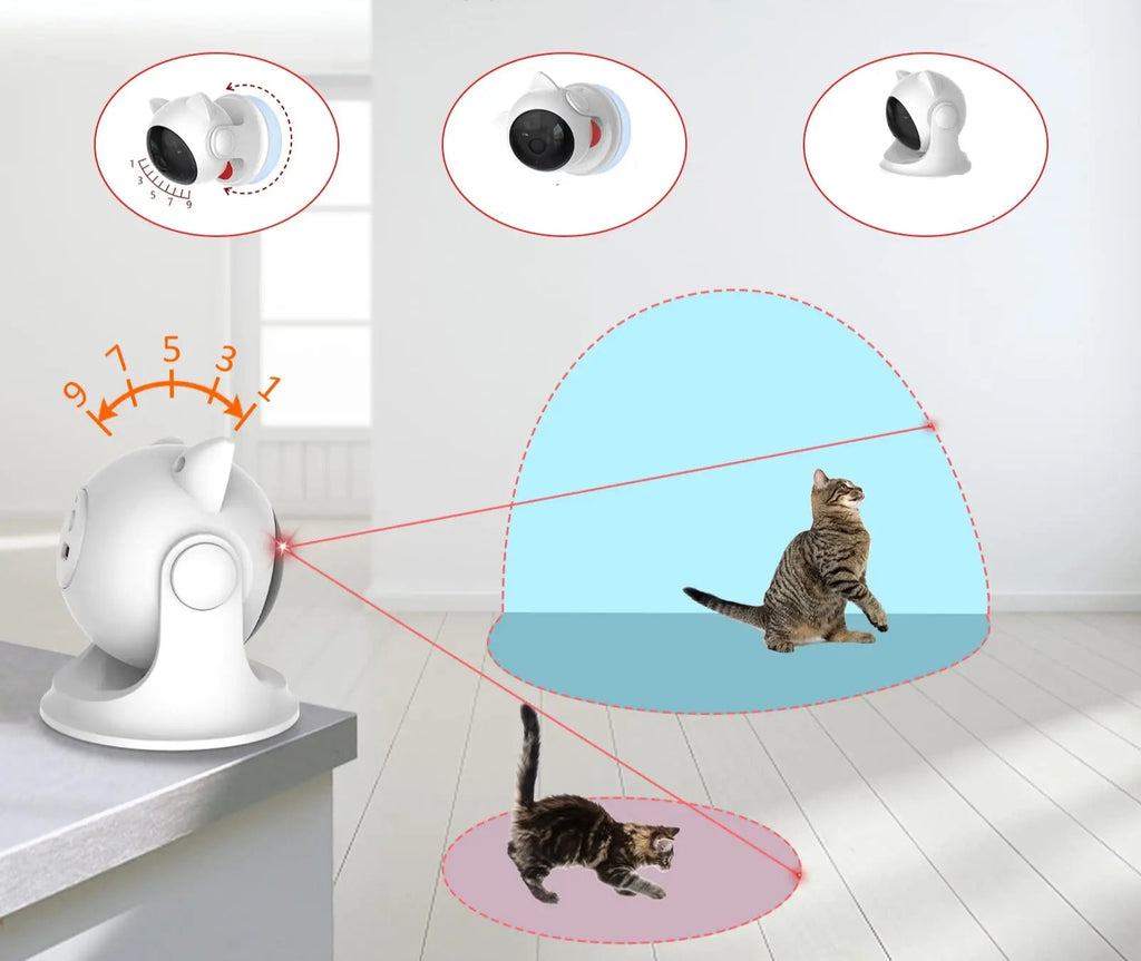 Laser pour Chat