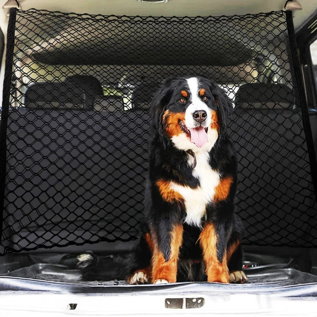 Filet pour Chien en Voiture