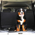 Filet pour Chien en Voiture