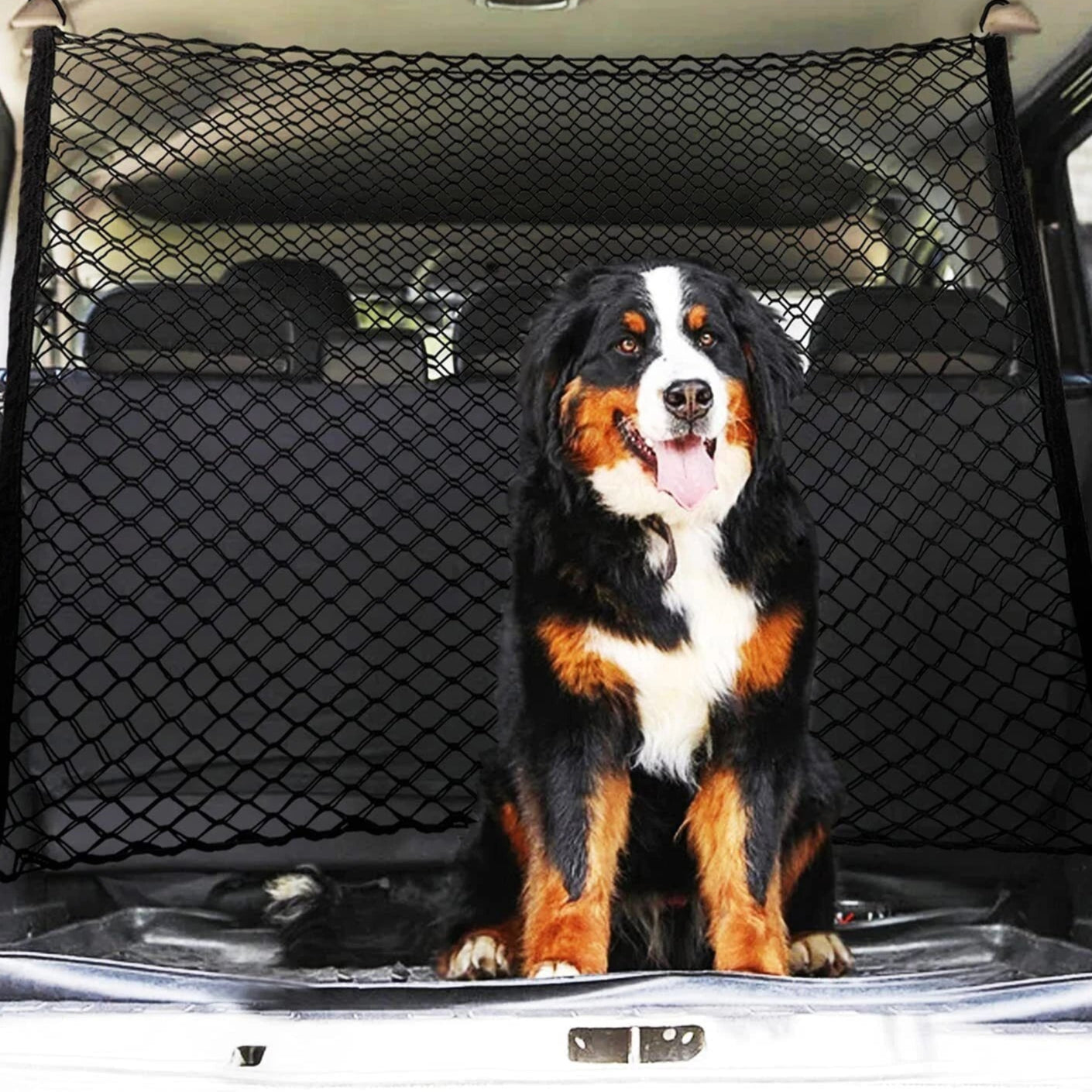 Filet pour Chien en Voiture