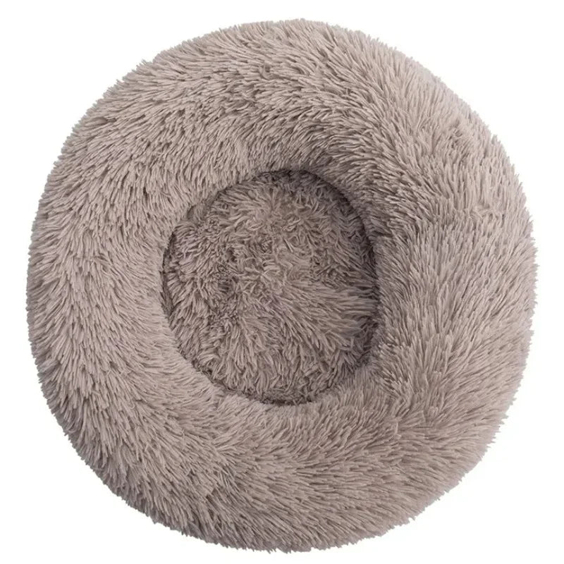 Coussin pour Chien