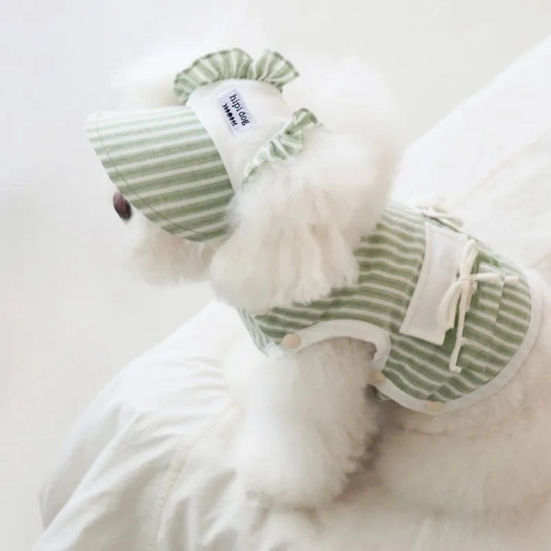 Ensemble Pour Chien