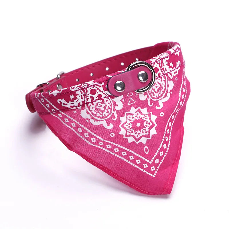 Bandana pour Chien