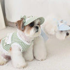 Ensemble Pour Chien