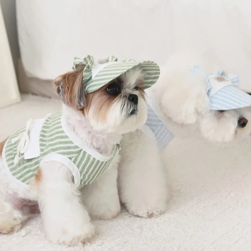 Ensemble Pour Chien