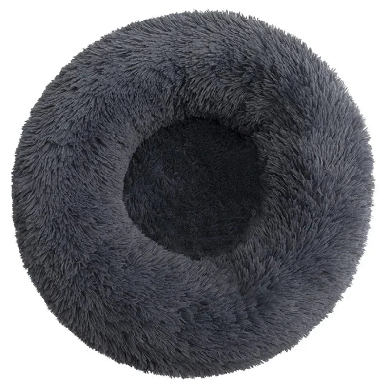 Coussin pour Chien