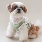 Ensemble Pour Chien