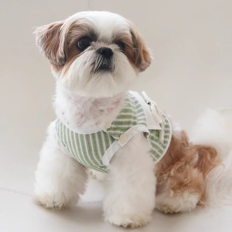 Ensemble Pour Chien