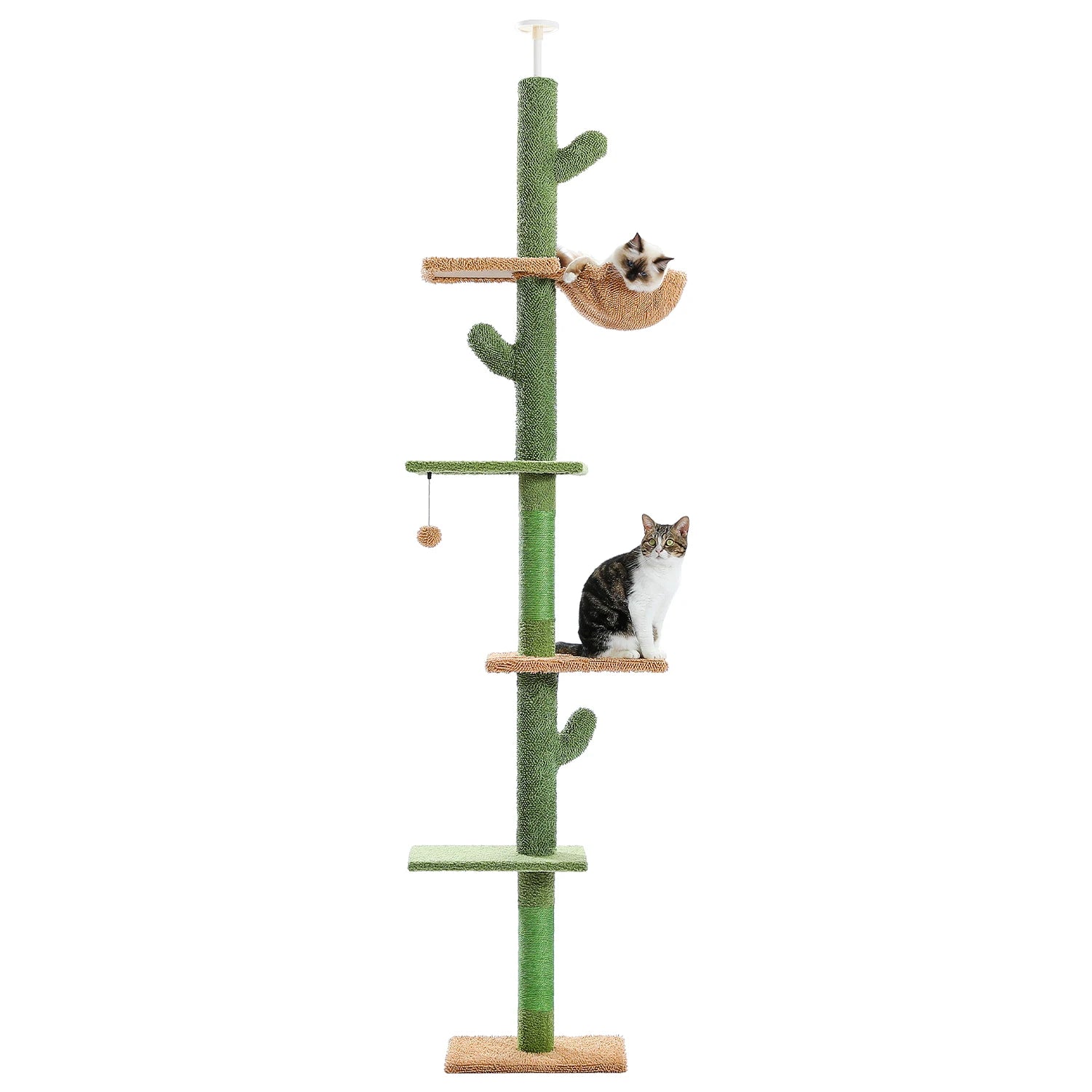 Grand Arbre à Chat