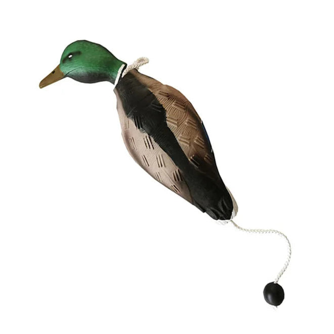 Jouet Canard pour Chien