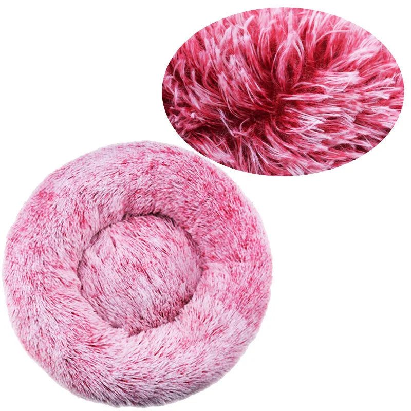 Coussin pour Chien