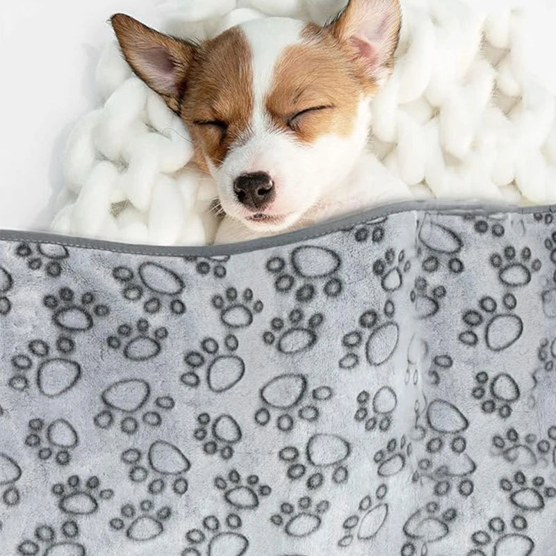 Couverture pour Chien