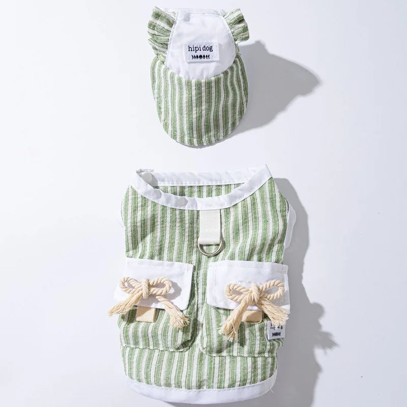 Ensemble Pour Chien