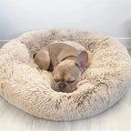 Coussin pour Chien