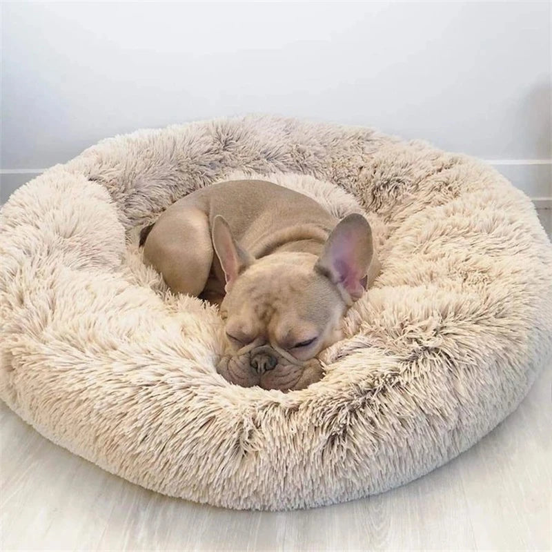 Coussin pour Chien