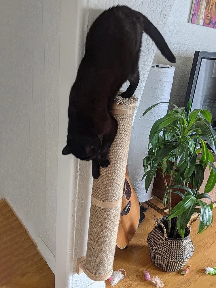 Griffoir a Chat Mural