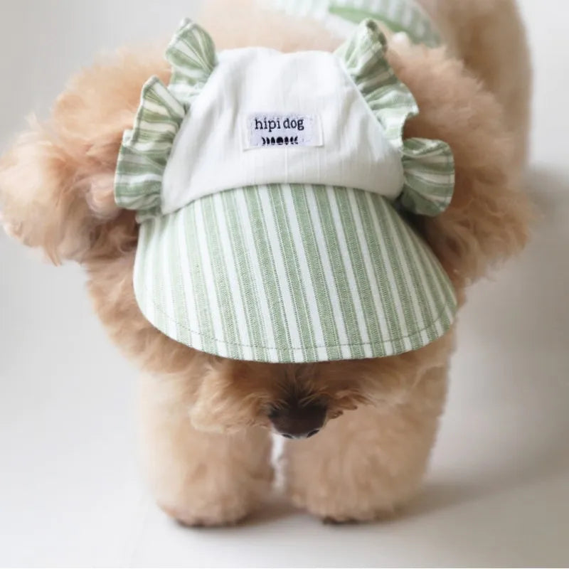 Ensemble Pour Chien