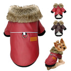 Veste Pour Chien
