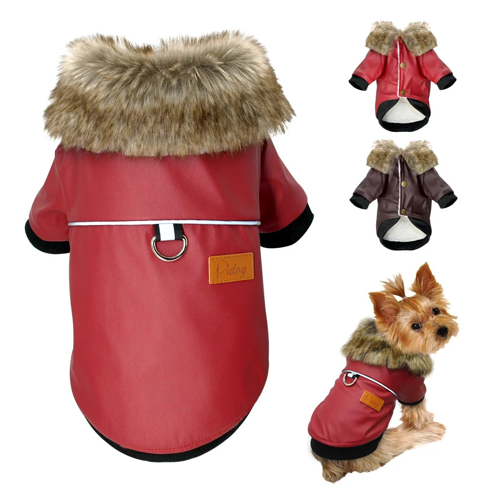 Veste Pour Chien